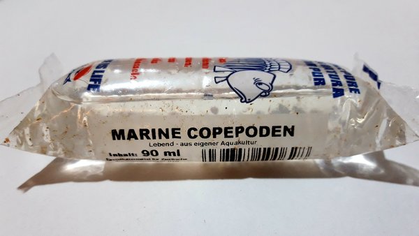 Ruderfußkrebse (Marine Copepoden)