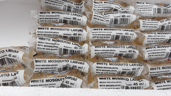 weiße Mückenlarven 45 ml
