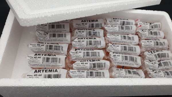 Salinenkrebse Artemia 45 ml