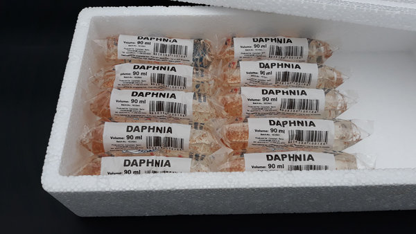 Wasserflöhe (Daphnia pulex) 45 ml