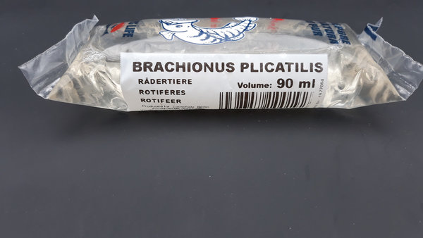 Seewasserrädertierchen (Brachionus plicatilis) 90ml